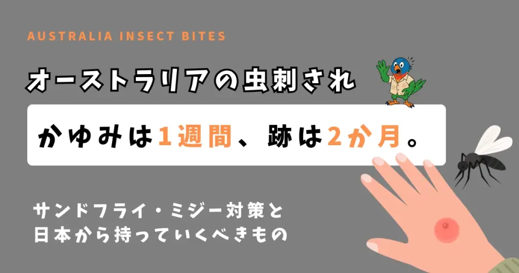 オーストラリアの虫刺され対策｜夕暮れのゴールドコーストの水辺