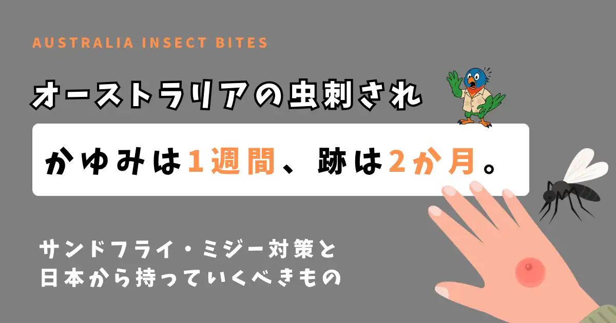 オーストラリアの虫刺され対策｜夕暮れのゴールドコーストの水辺