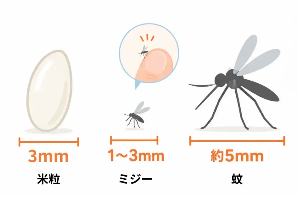 米粒、ミジー、蚊のサイズ比較図